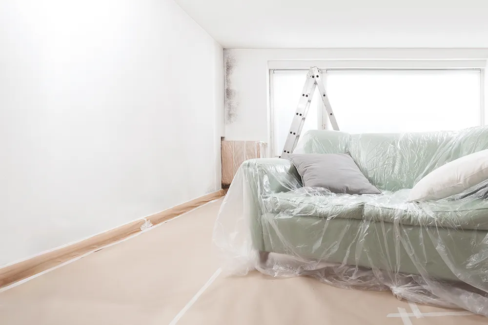 Schimmelbefall Innenwand eines Neubaus